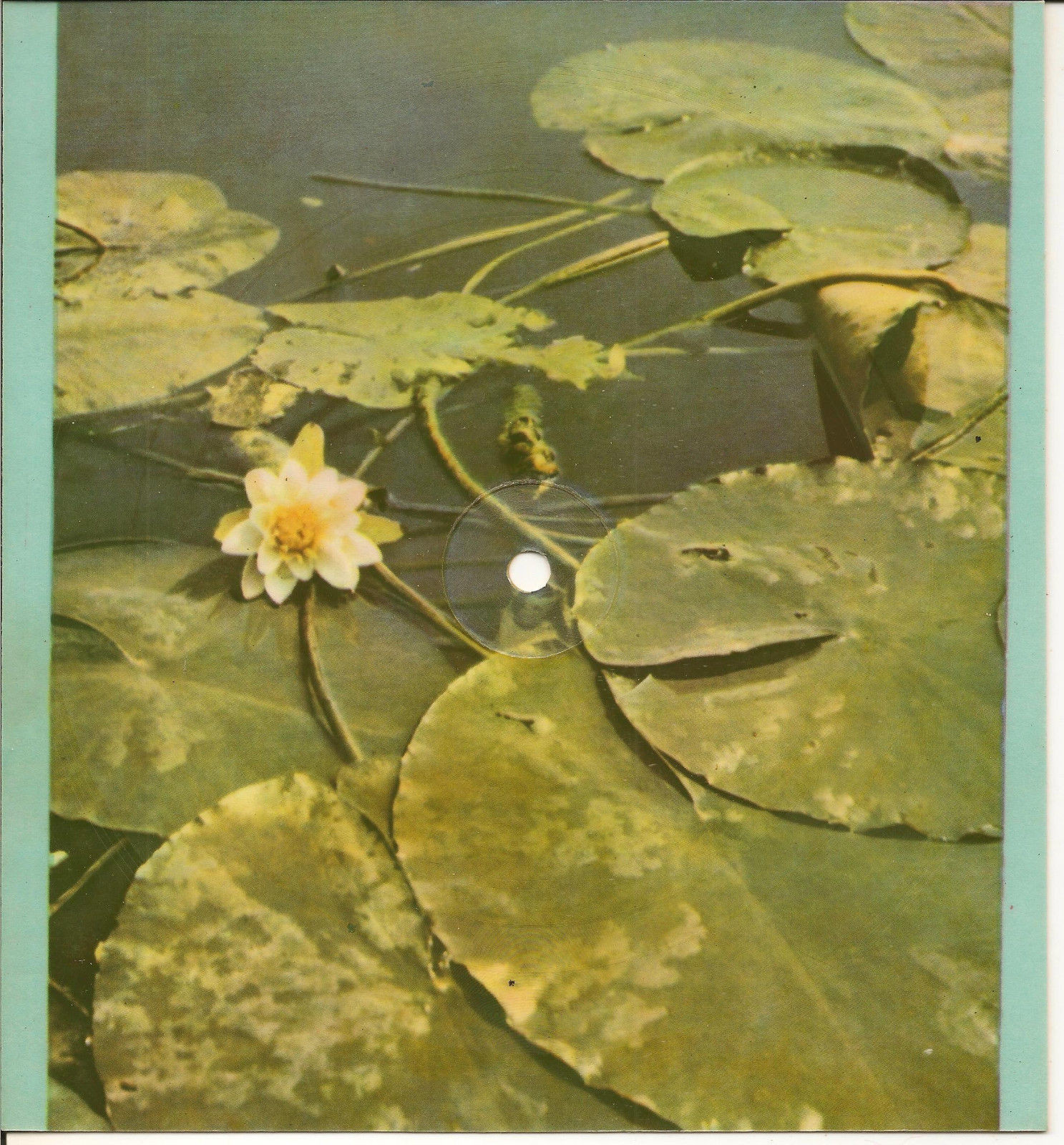 Два кольори / I у вас, i у нас