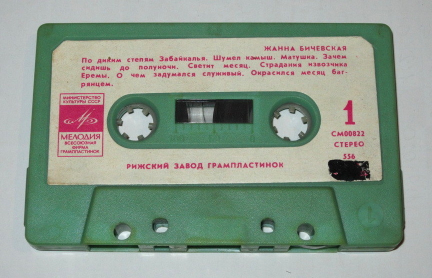 Жанна БИЧЕВСКАЯ