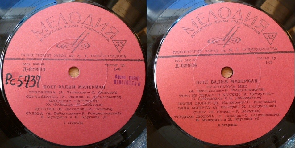 Поёт Вадим Мулерман