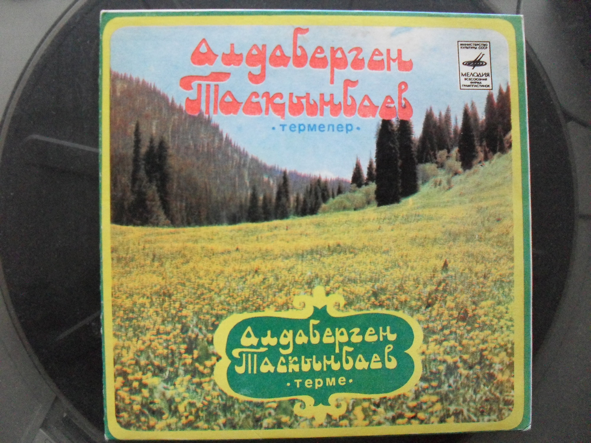 ТАСКЫНБАЕВ Алдаберген.