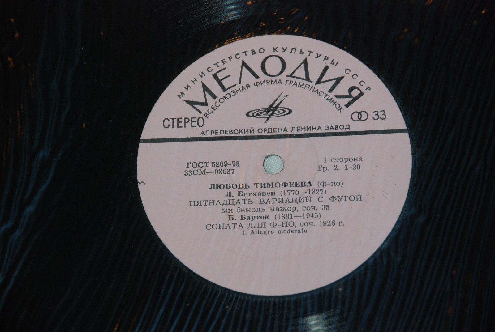 Любовь ТИМОФЕЕВА (ф-но)