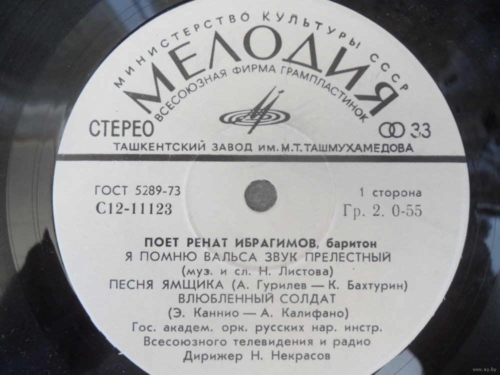 Поет Ренат ИБРАГИМОВ (баритон)