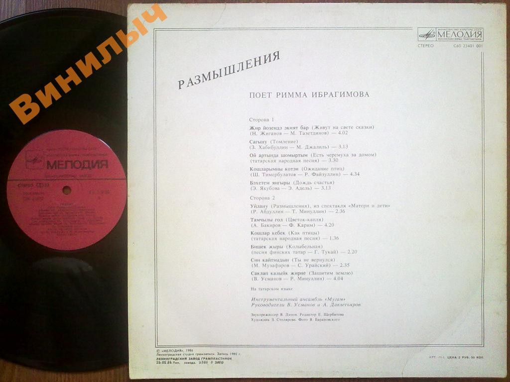 Римма ИБРАГИМОВА (Римма Ибраһимова): «Размышления / Уйлану» (на татарском языке)
