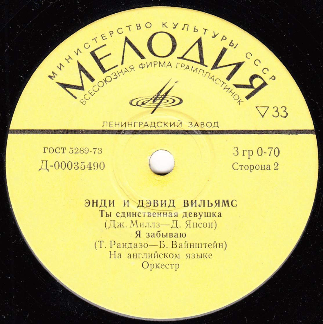 Энди и Дэвид ВИЛЬЯМС