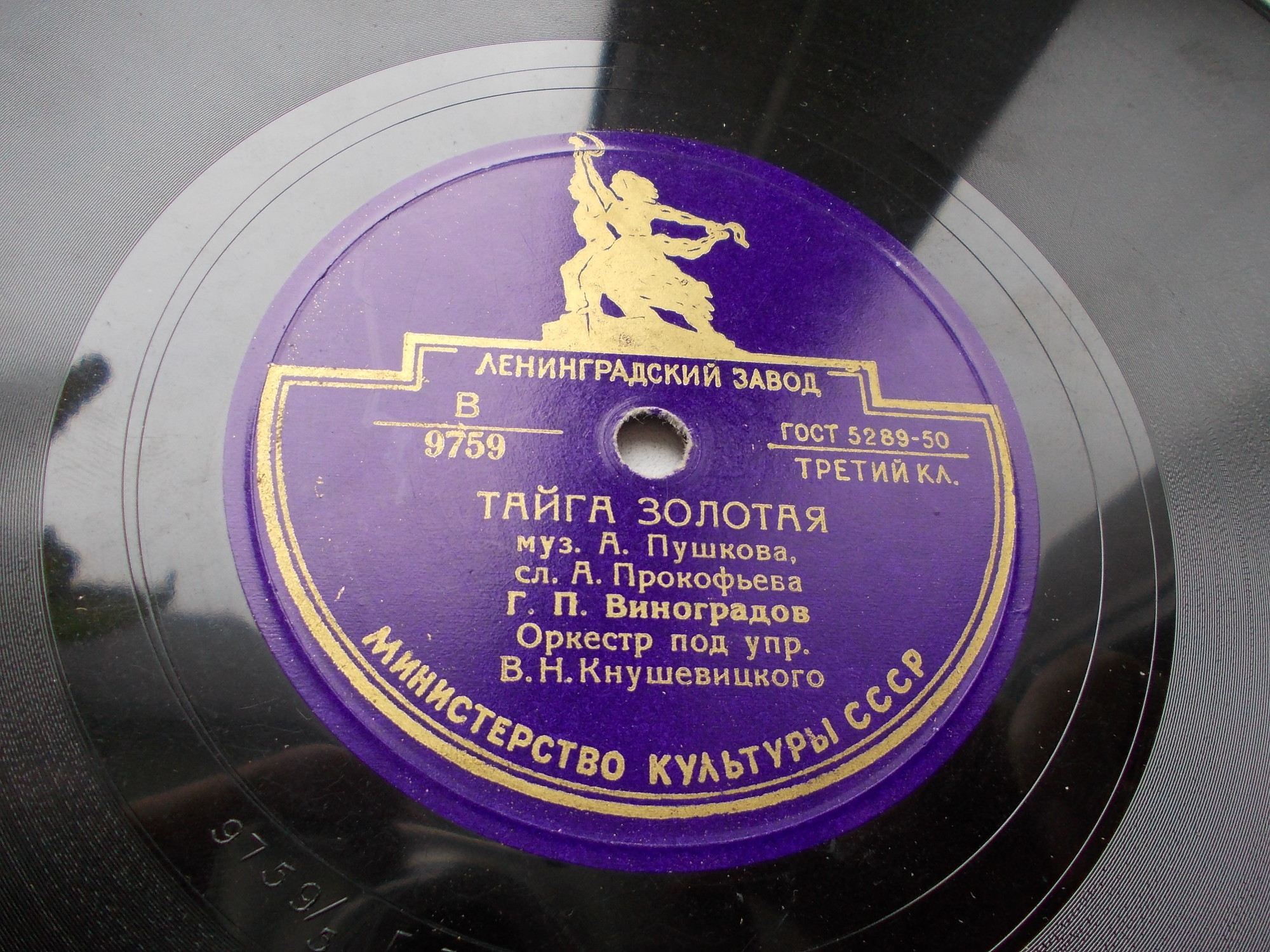 Тайга золотая / Азовская партизанская