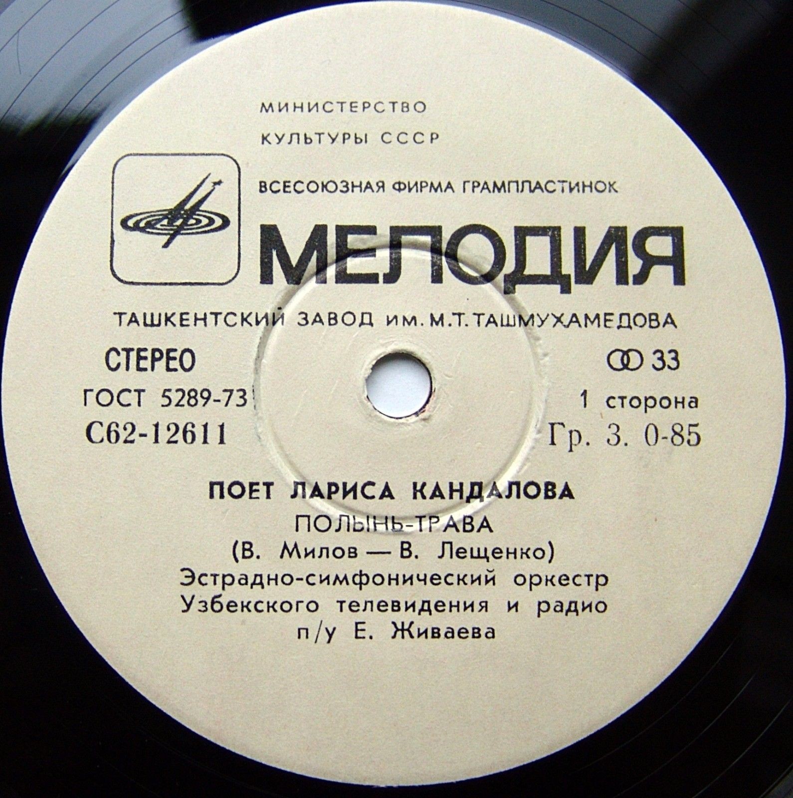 Поет Лариса КАНДАЛОВА