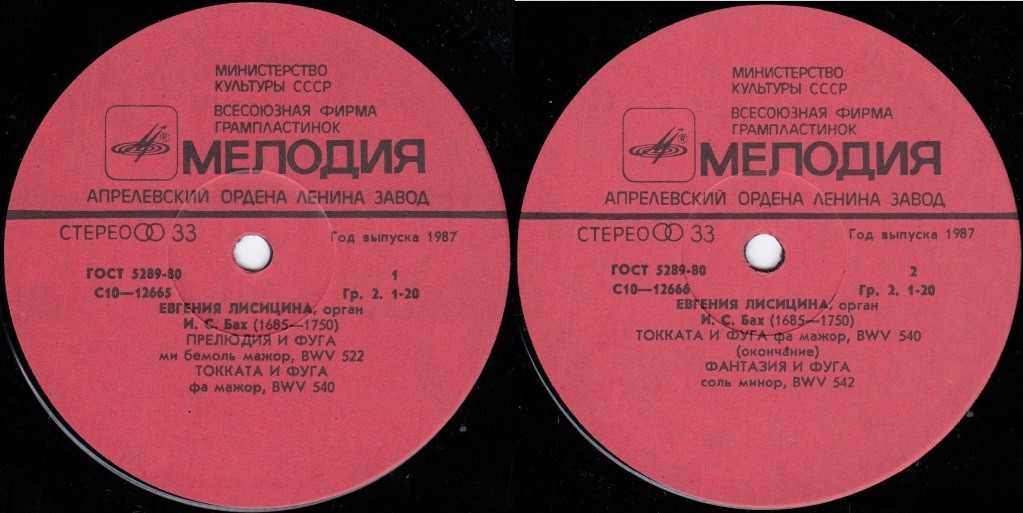 Михаил ФИХТЕНГОЛЬЦ (скрипка)