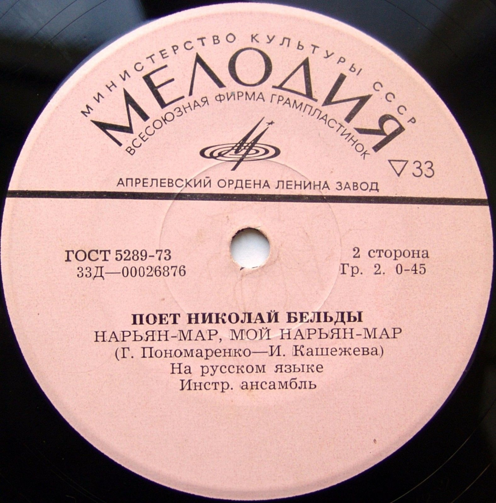 Поет Николай БЕЛЬДЫ