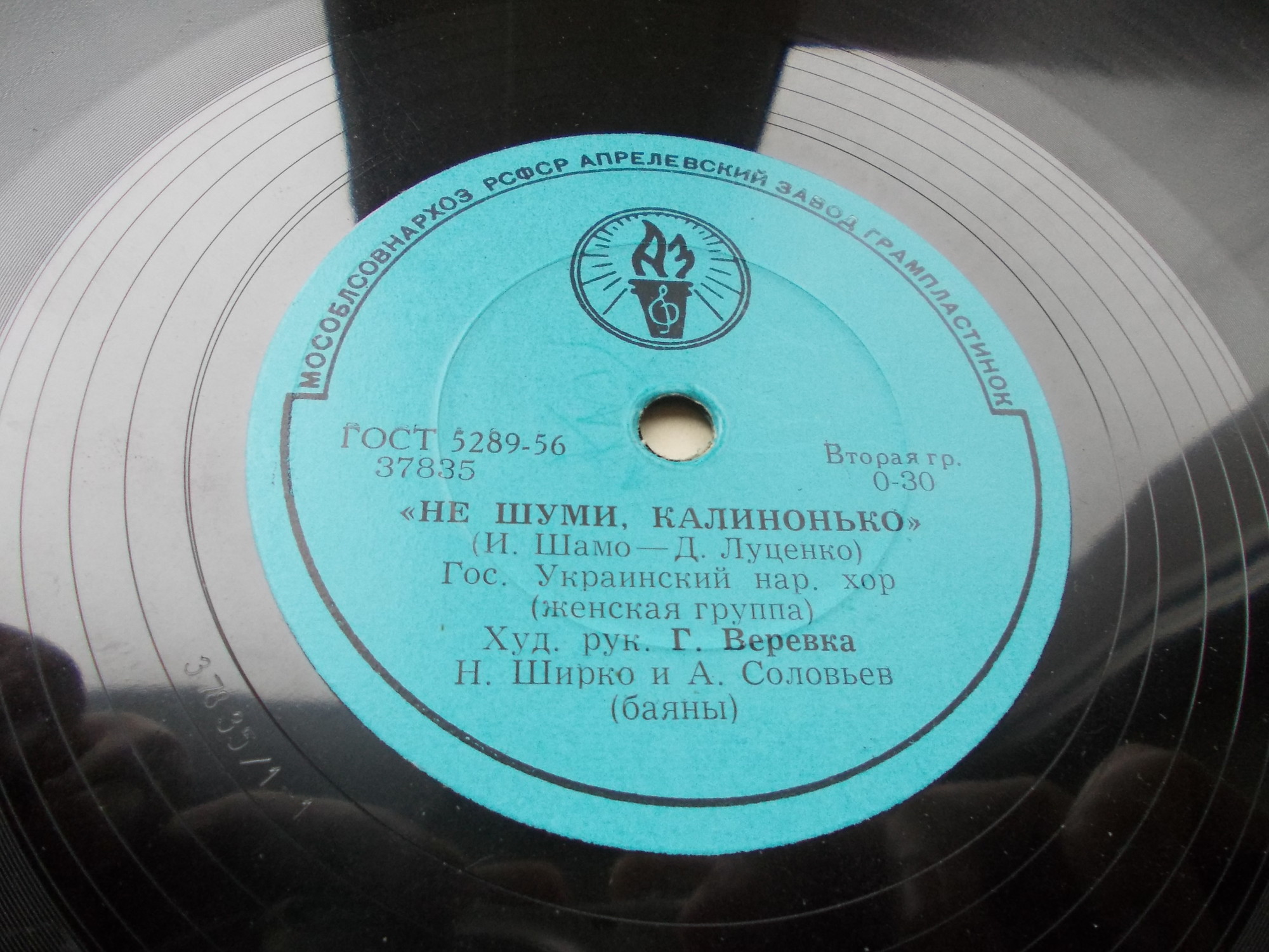 Не шуми, калинонько / Ой, вербиченько