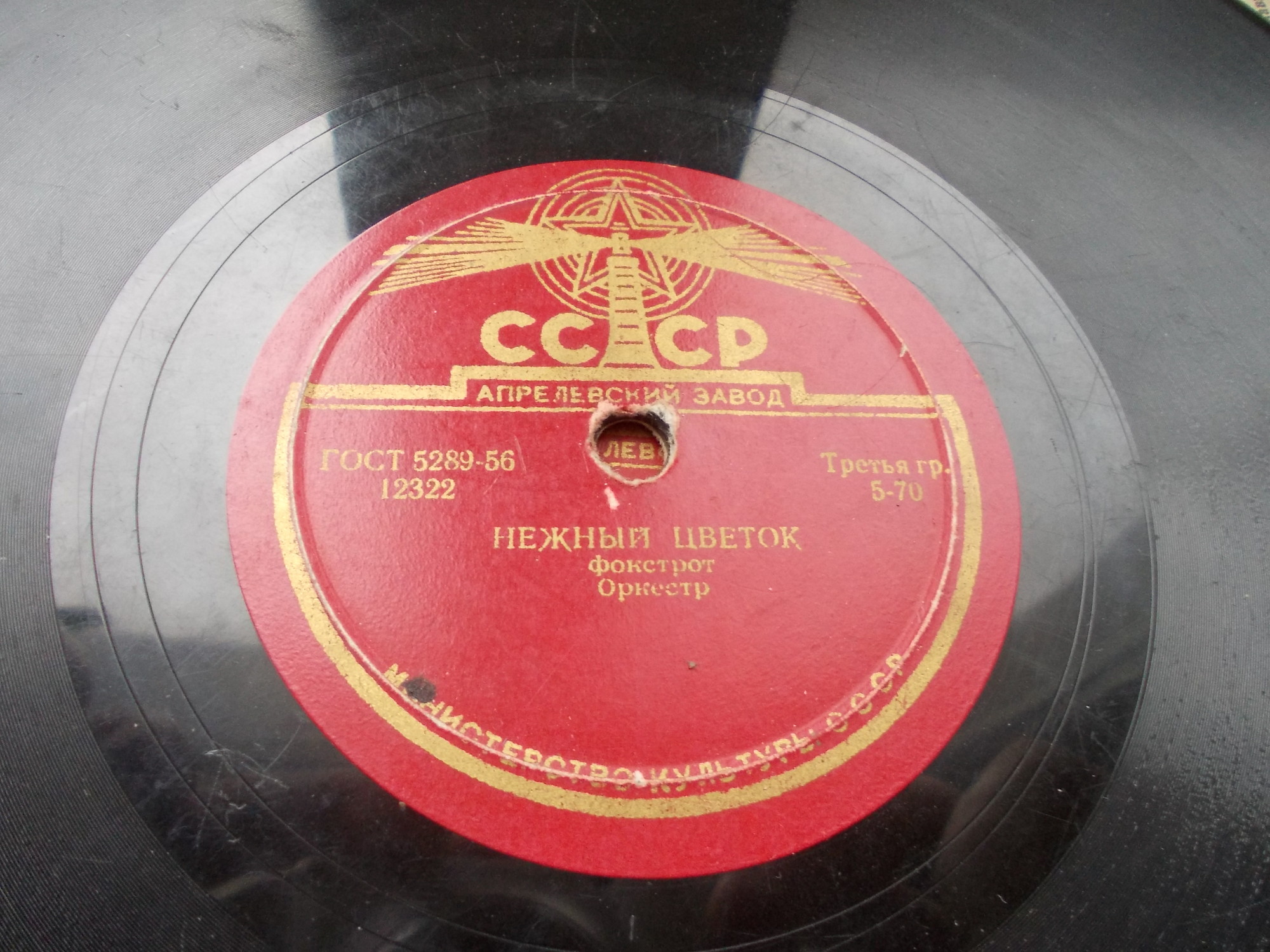 Оркестр - Всегда вместе / Нежный цветок