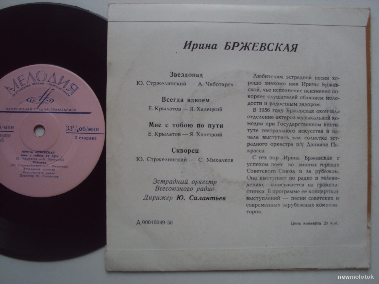 Поет Ирина БРЖЕВСКАЯ