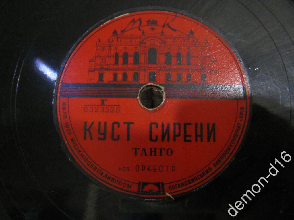 Рио-Рита / Куст сирени