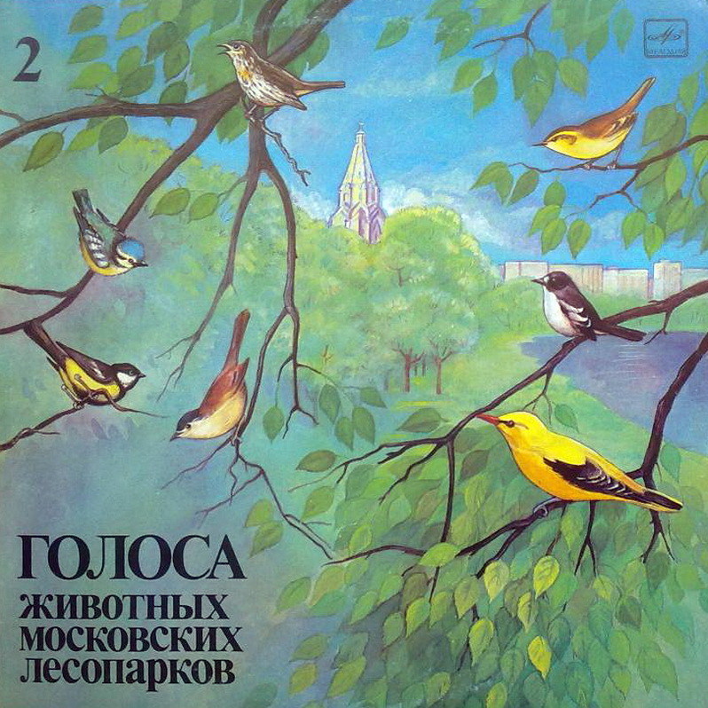 ГОЛОСА ЖИВОТНЫХ МОСКОВСКИХ ЛЕСОПАРКОВ (выпуск 2).