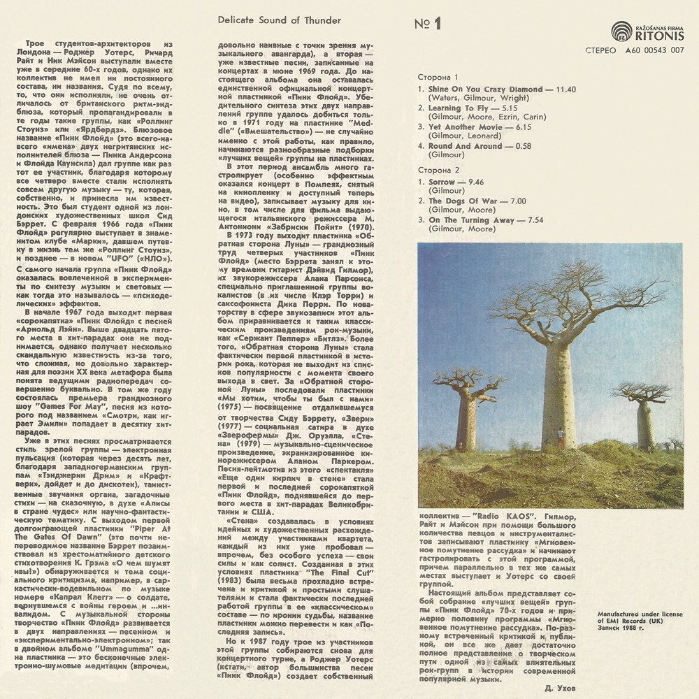 Pink Floyd. Delicate Sound of Thunder (live)