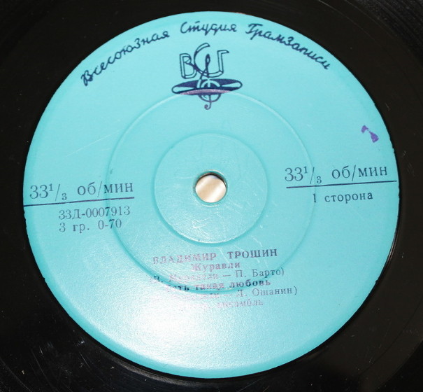 Поет Владимир Трошин