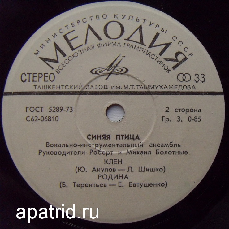 ВИА "Синяя птица"