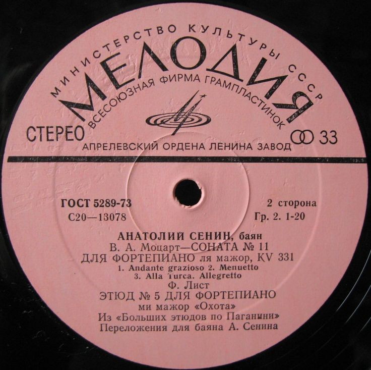 Анатолий СЕНИН (баян)