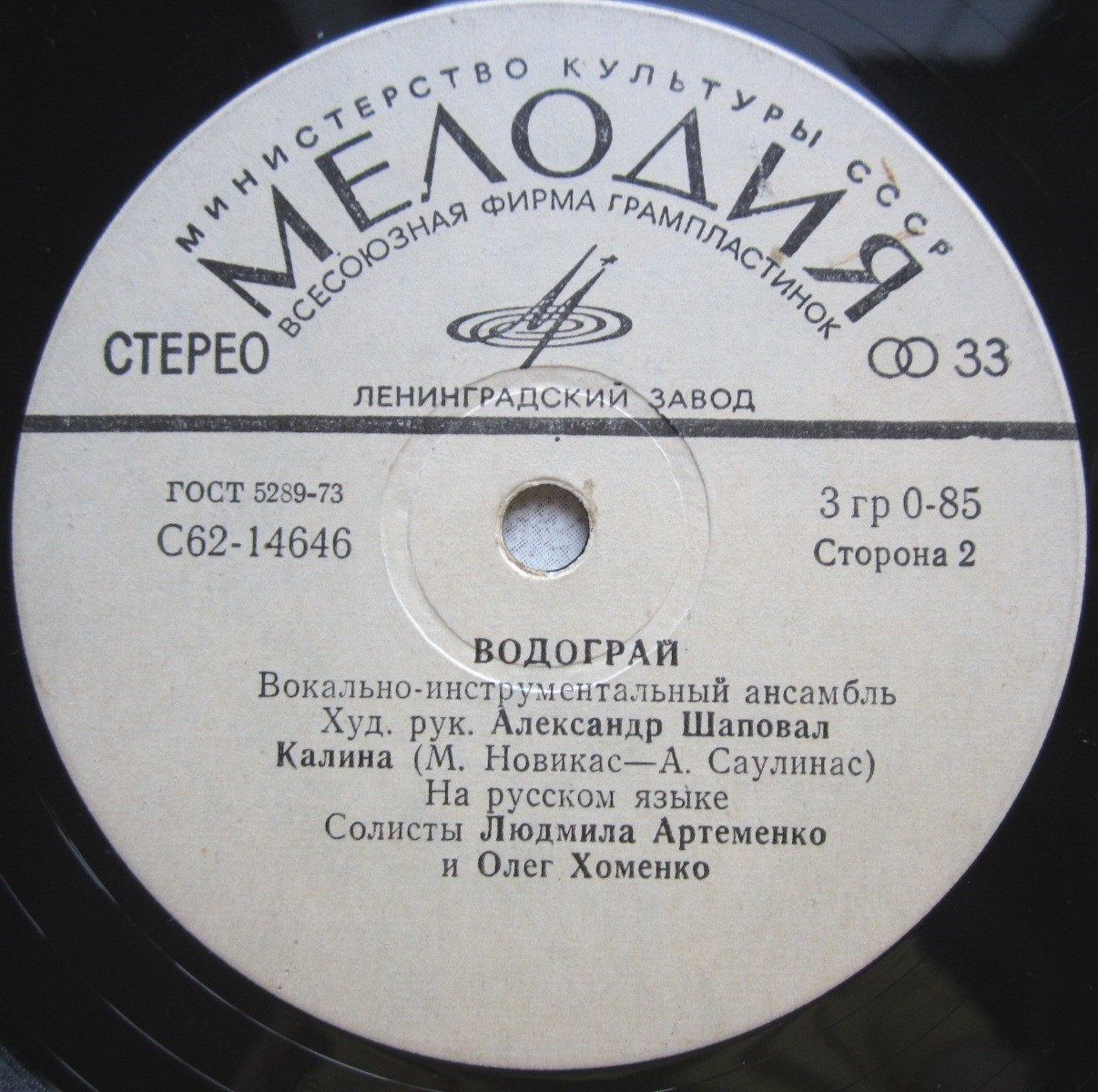 ВИА "Водограй"