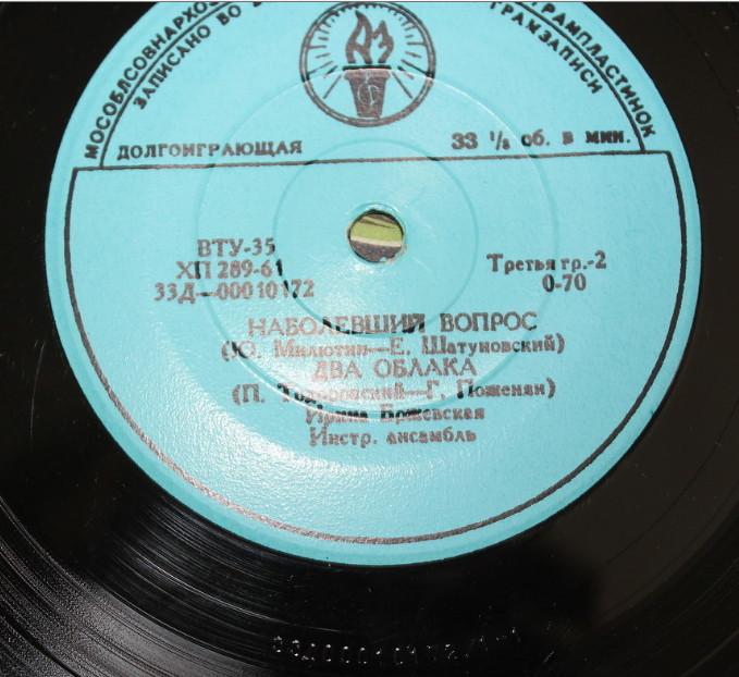 БРЖЕВСКАЯ Ирина