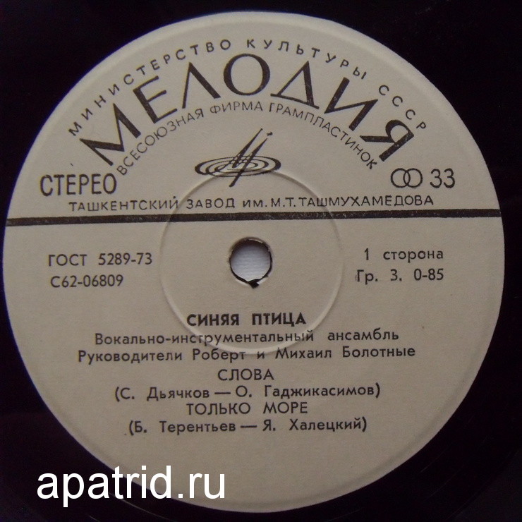 ВИА "Синяя птица"