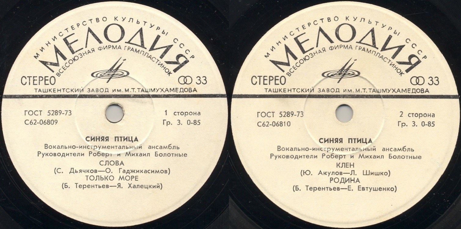ВИА "Синяя птица"
