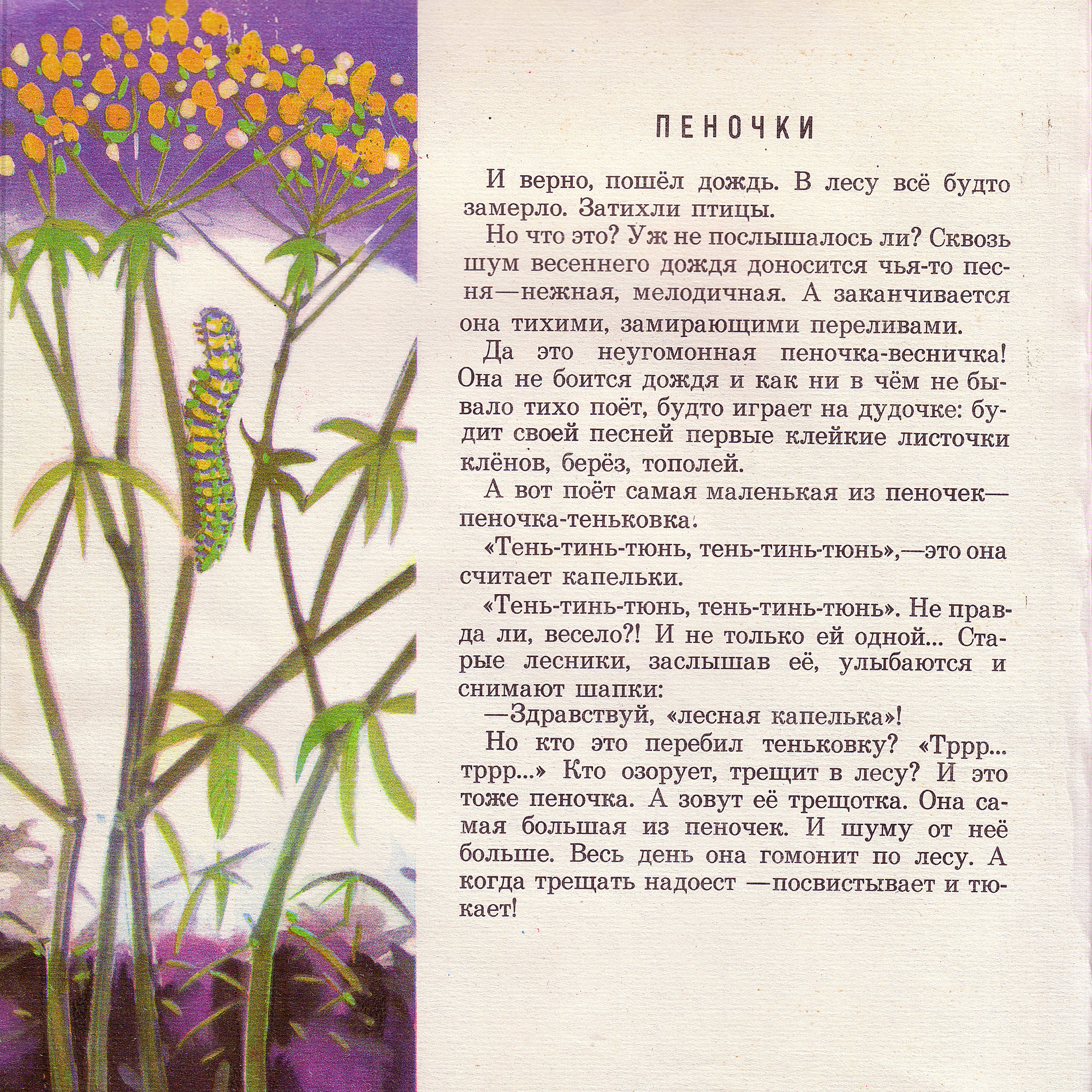 Приложение к книге Александра Баркова «Голоса весеннего леса»