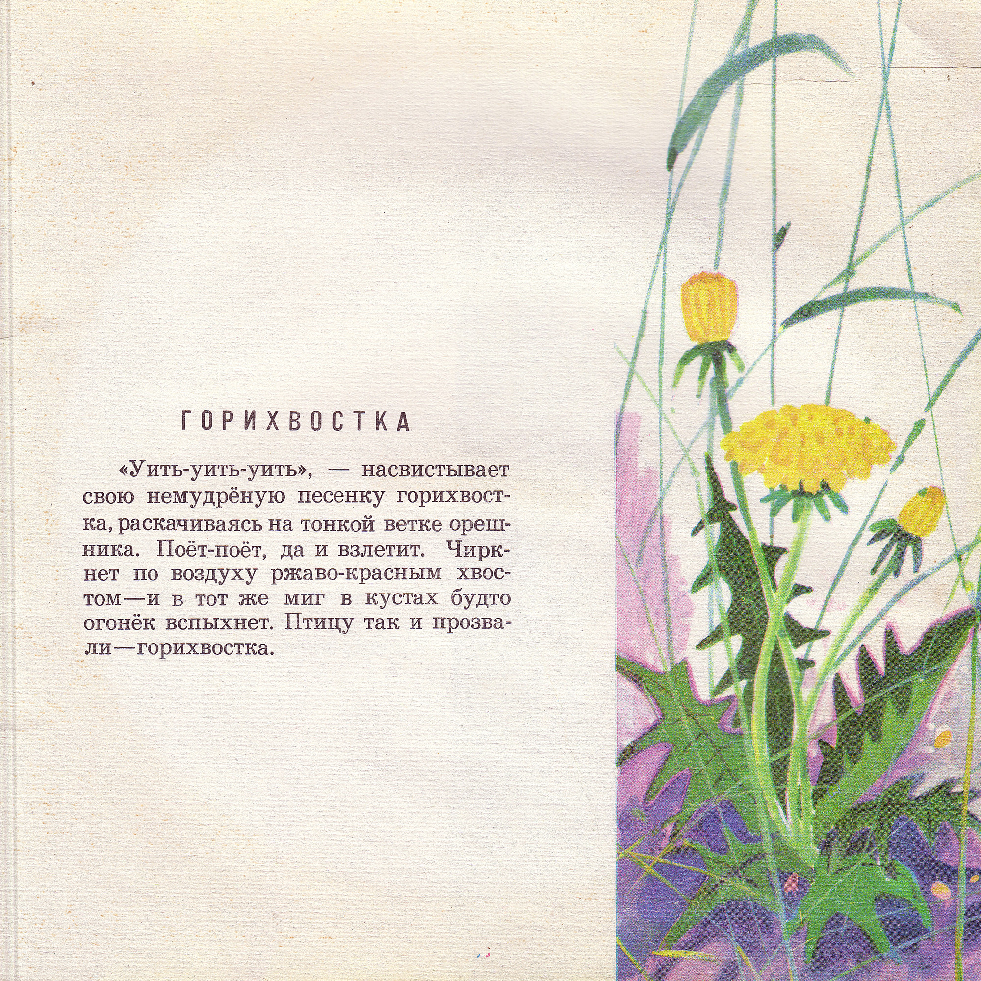 Приложение к книге Александра Баркова «Голоса весеннего леса»