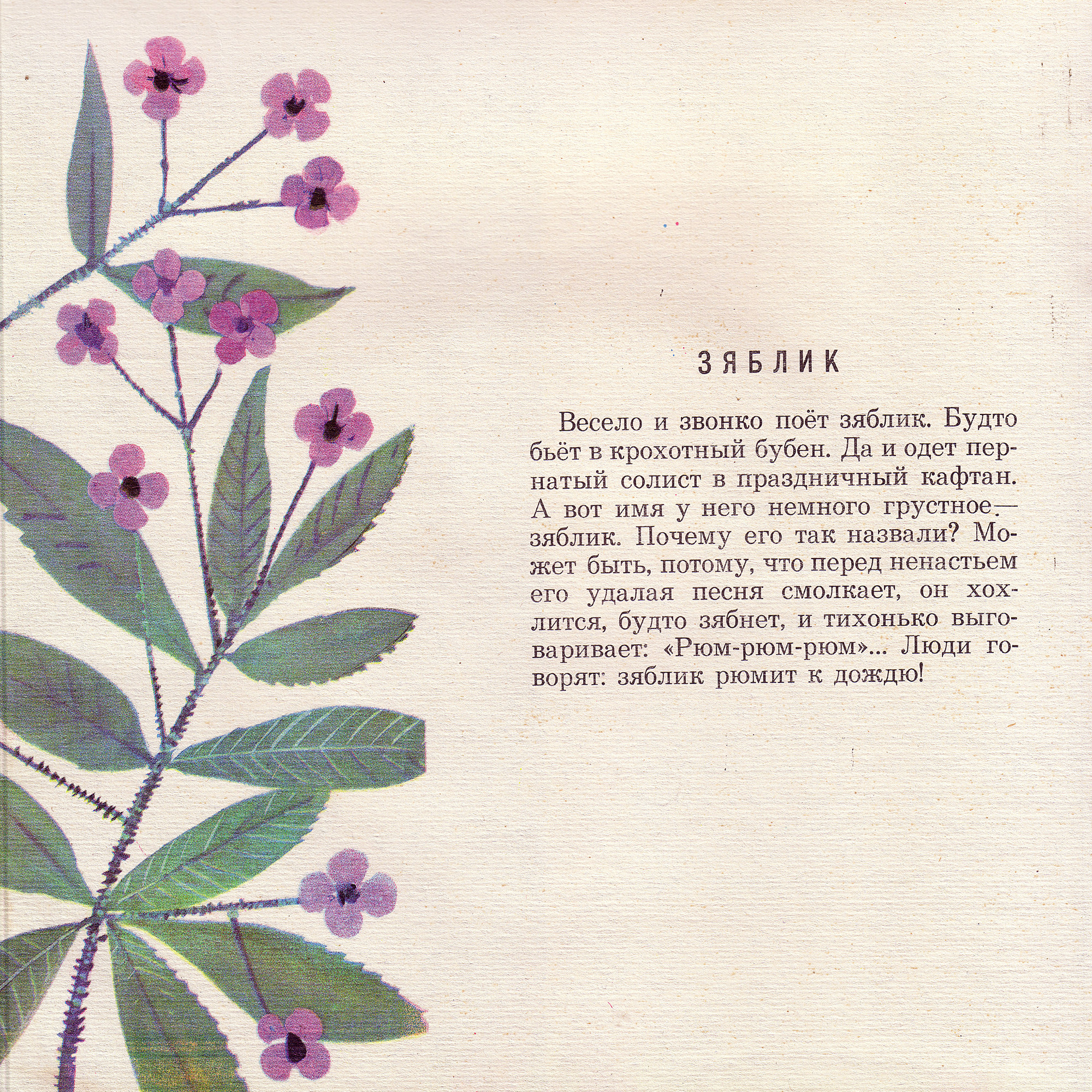 Приложение к книге Александра Баркова «Голоса весеннего леса»