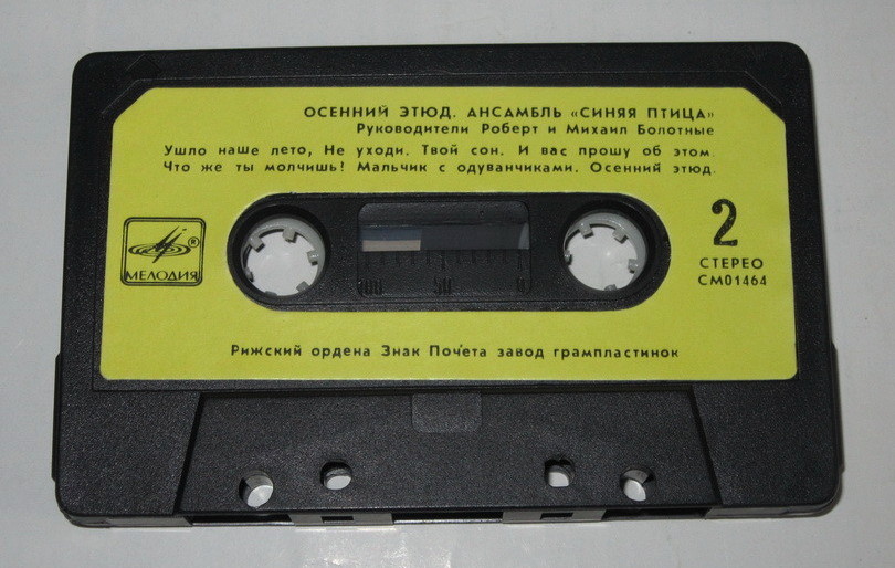 Ансамбль «Синяя птица» - Осенний этюд