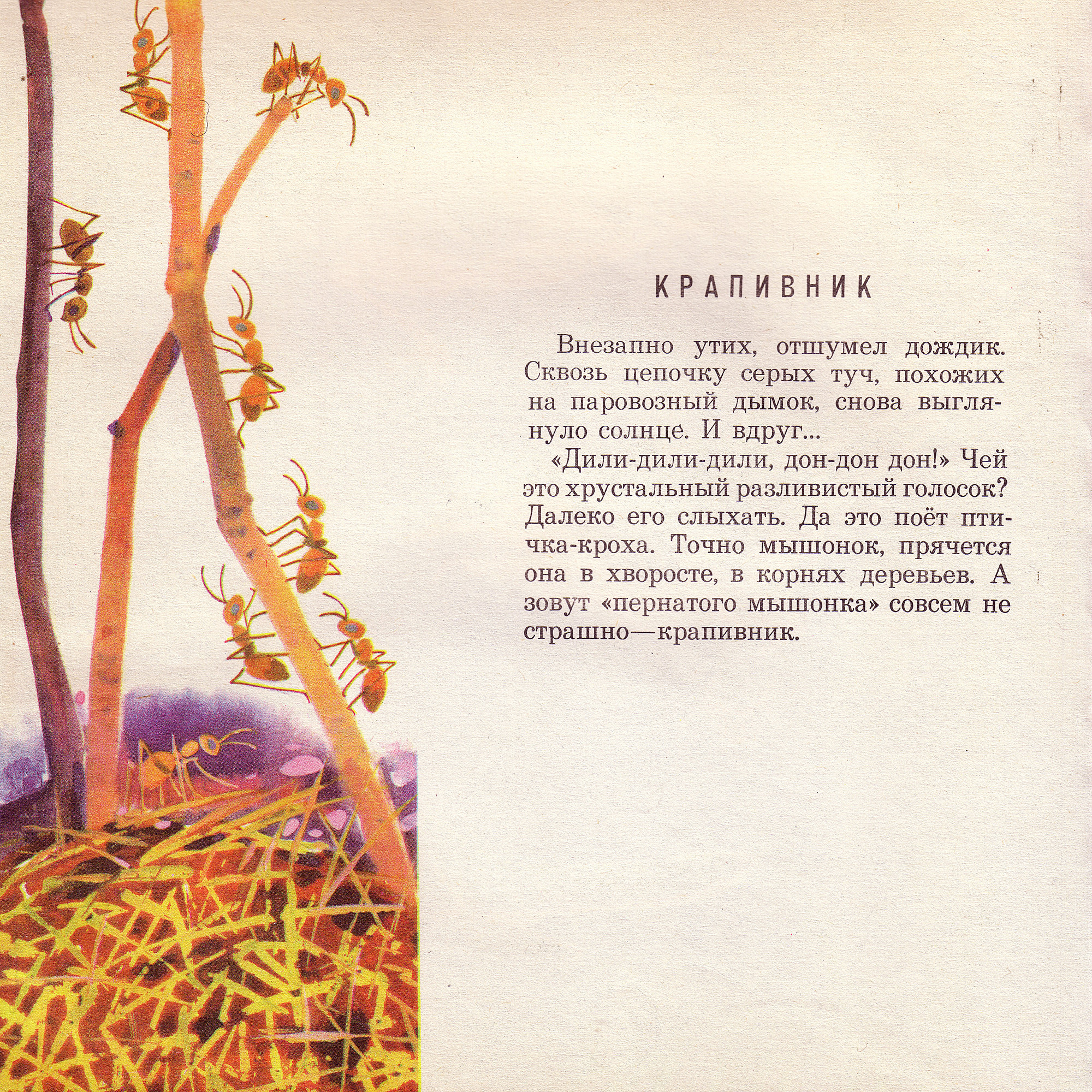 Приложение к книге Александра Баркова «Голоса весеннего леса»