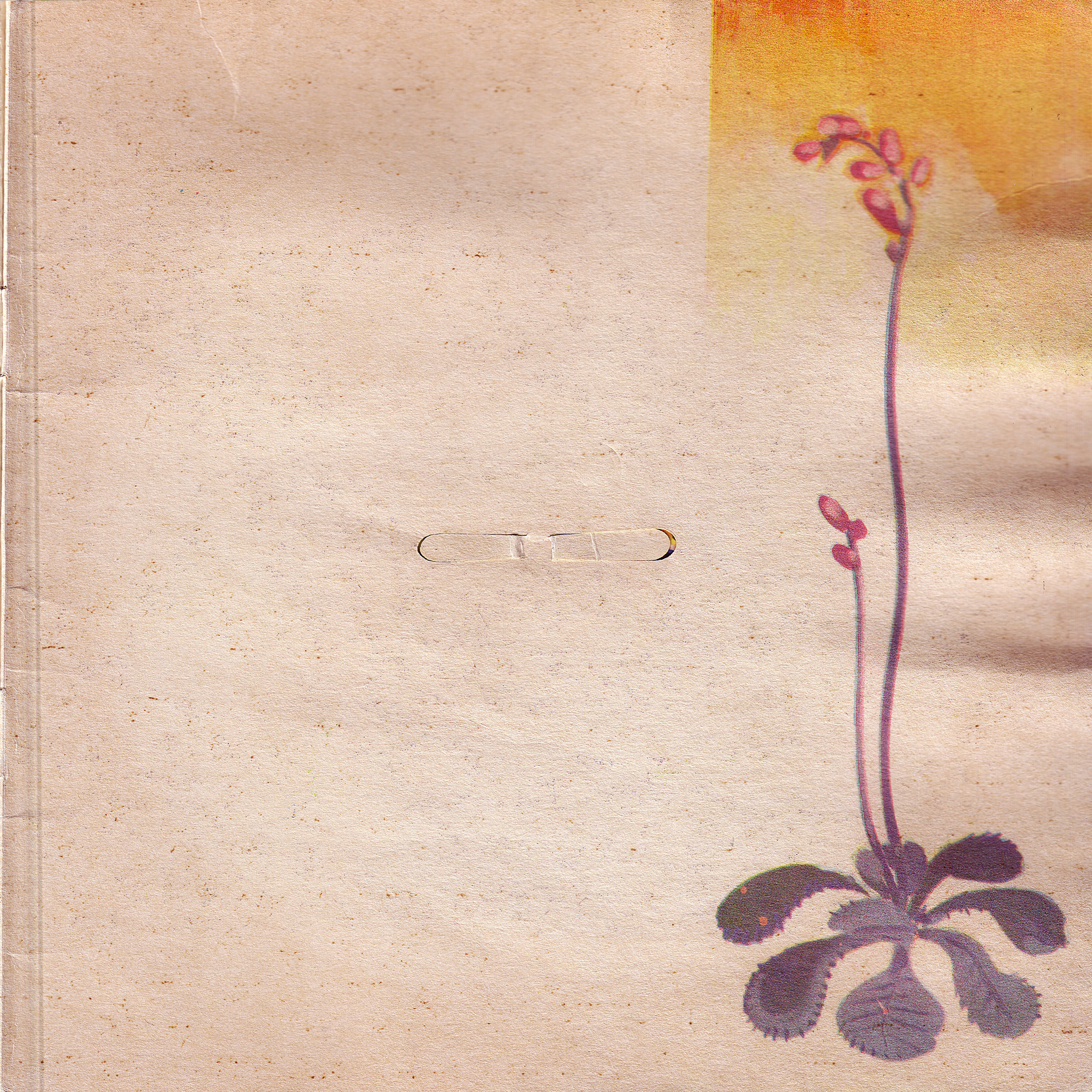 Приложение к книге Александра Баркова «Голоса весеннего леса»