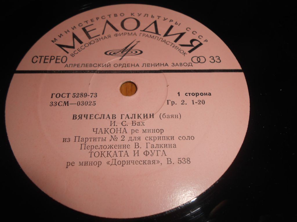 Вячеслав Галкин (баян)