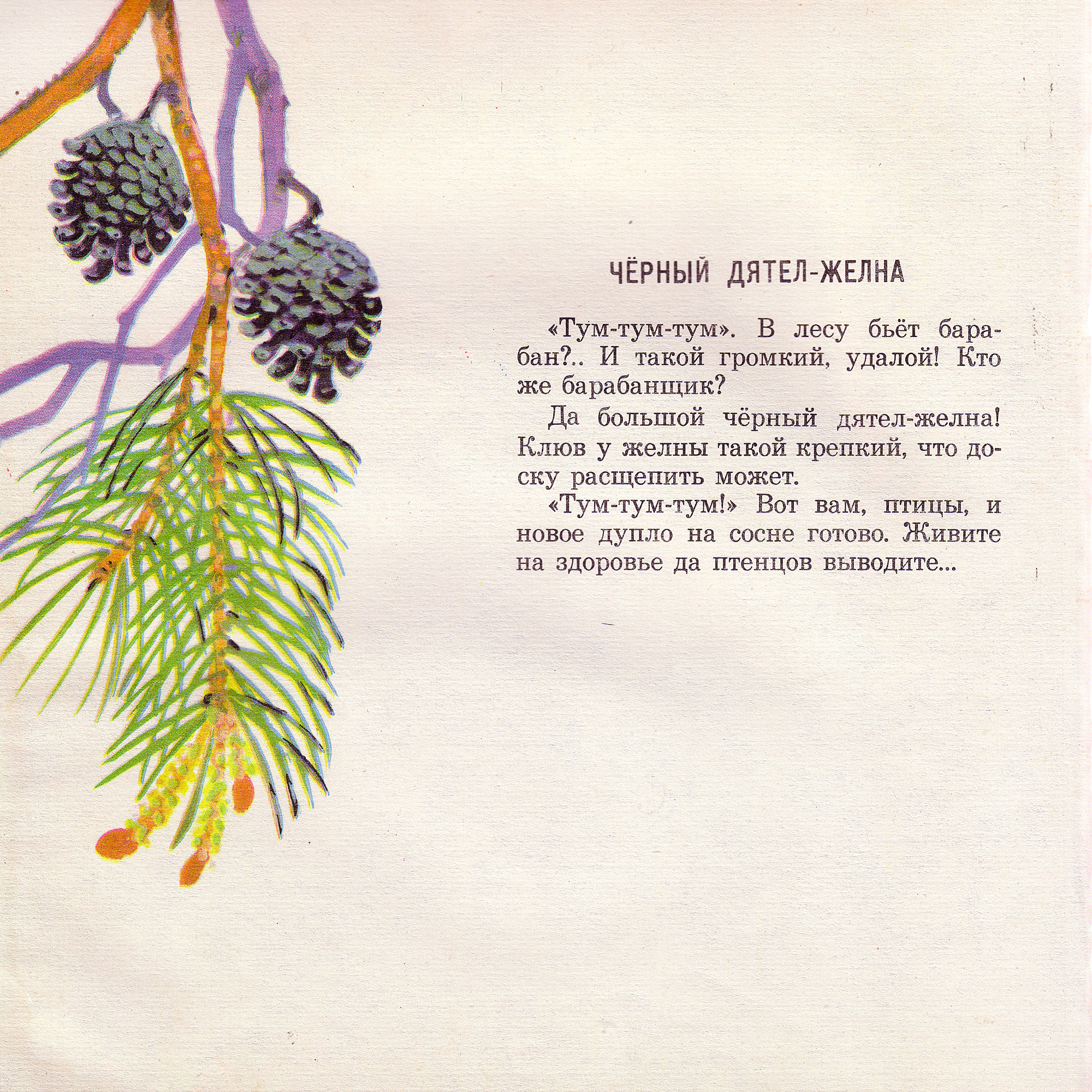 Приложение к книге Александра Баркова «Голоса весеннего леса»