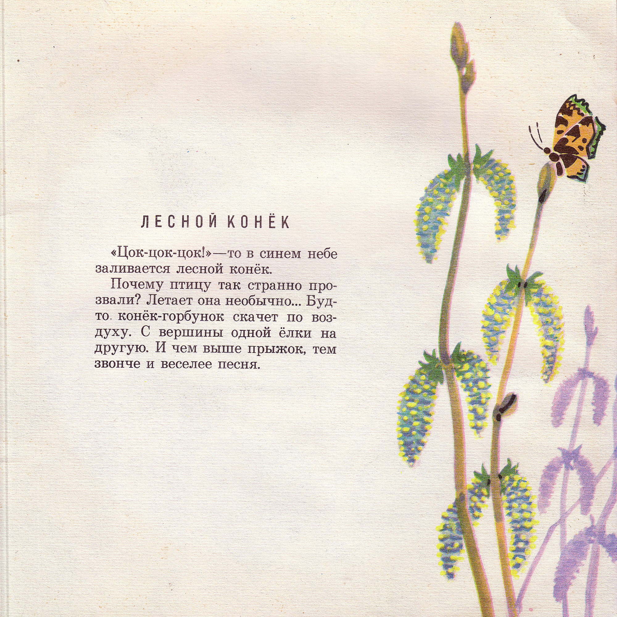 Приложение к книге Александра Баркова «Голоса весеннего леса»