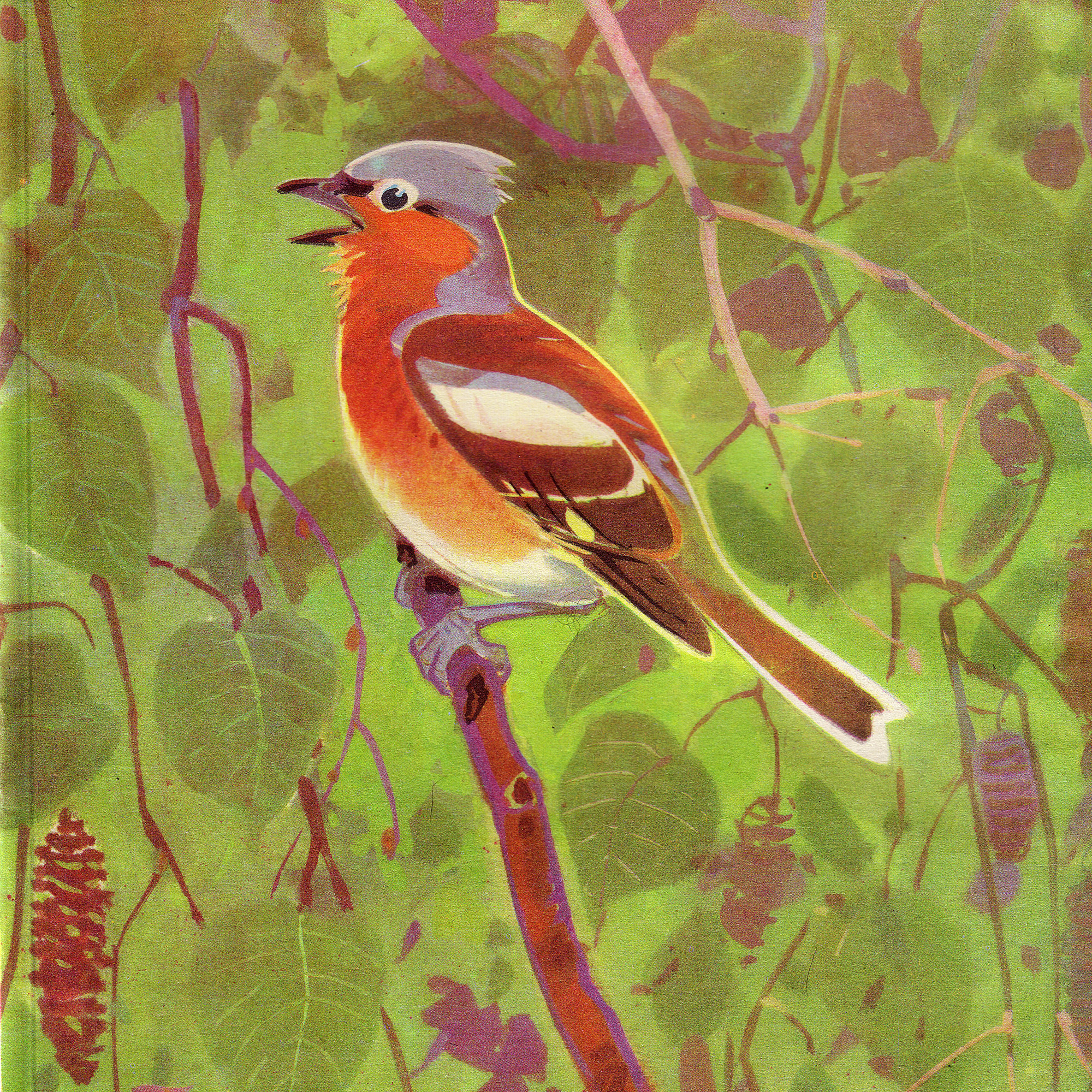 Приложение к книге Александра Баркова «Голоса весеннего леса»