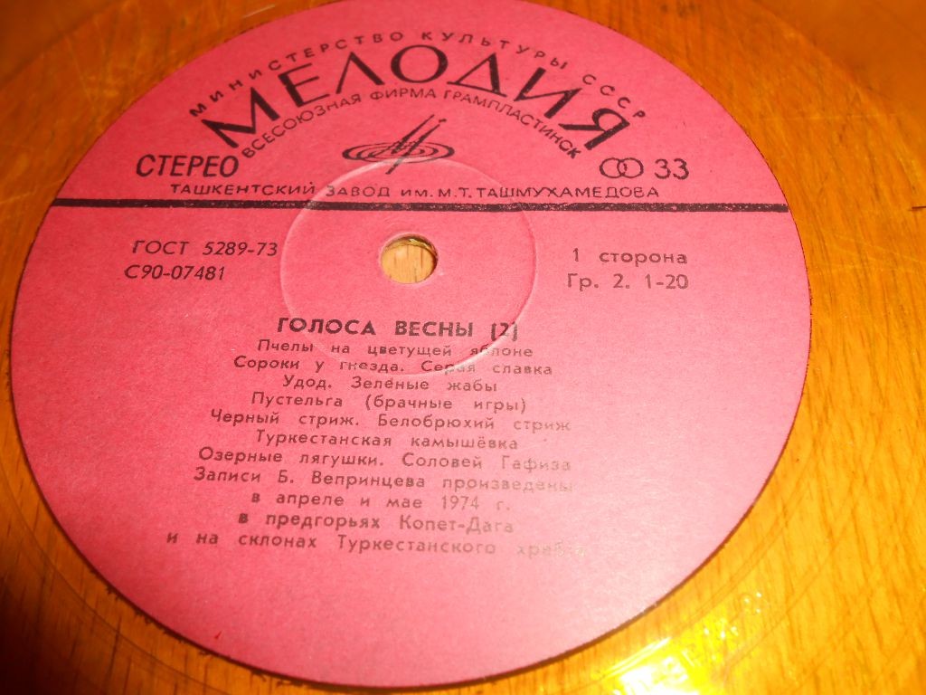 Голоса весны (вторая пластинка)