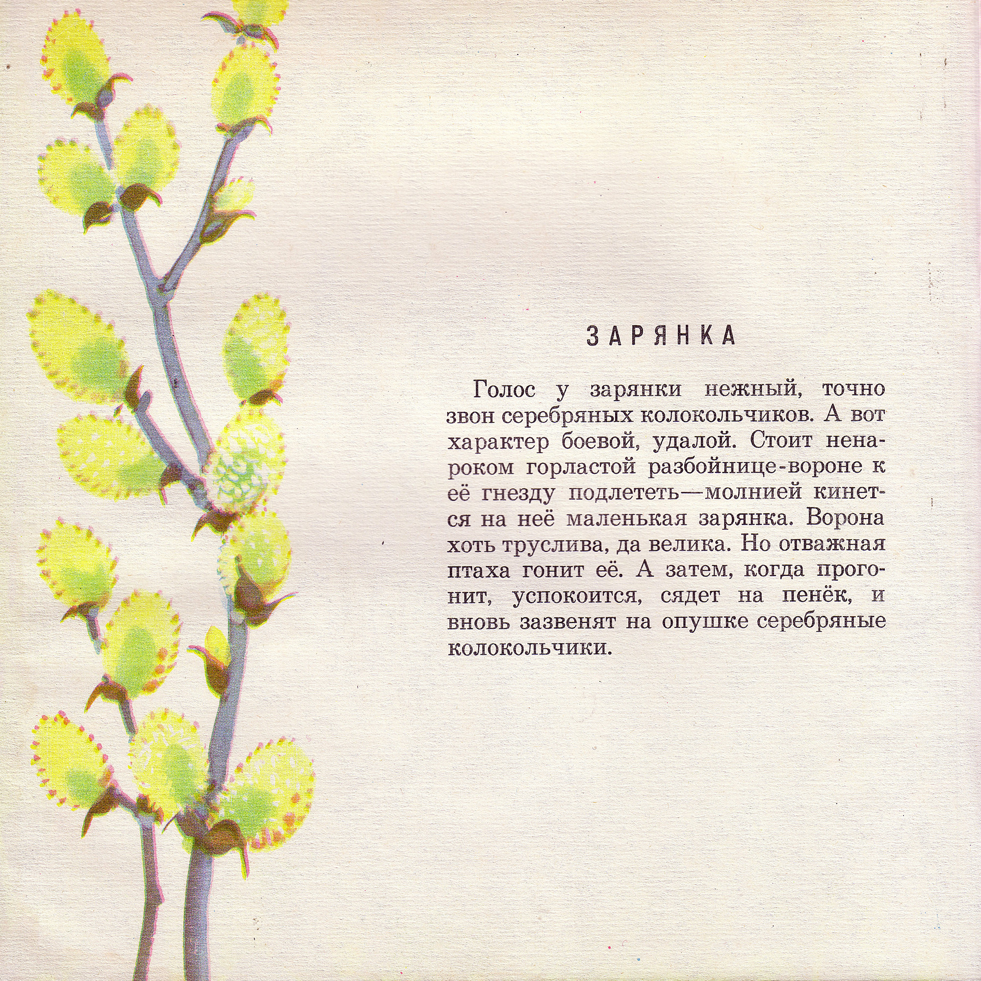 Приложение к книге Александра Баркова «Голоса весеннего леса»