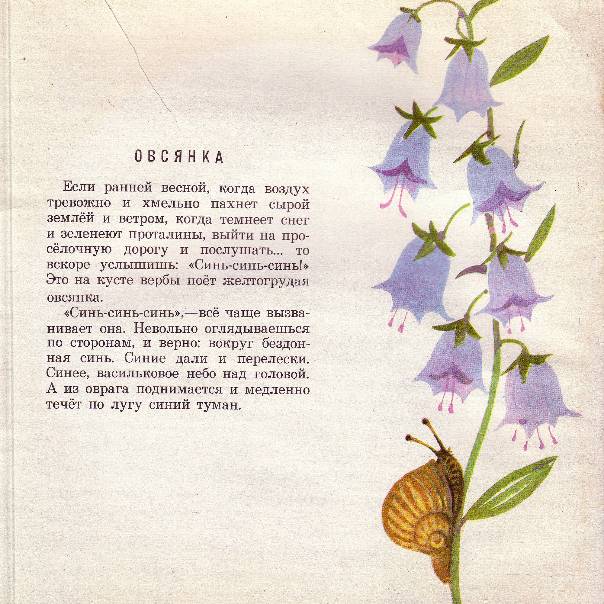 Приложение к книге Александра Баркова «Голоса весеннего леса»