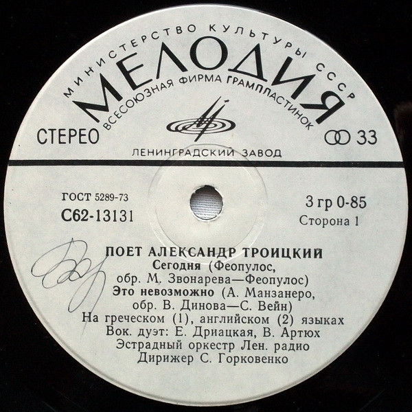 Поет Александр Троицкий