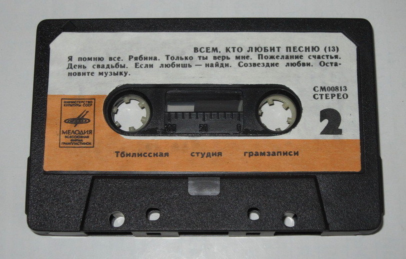 Всем, кто любит песню (13)