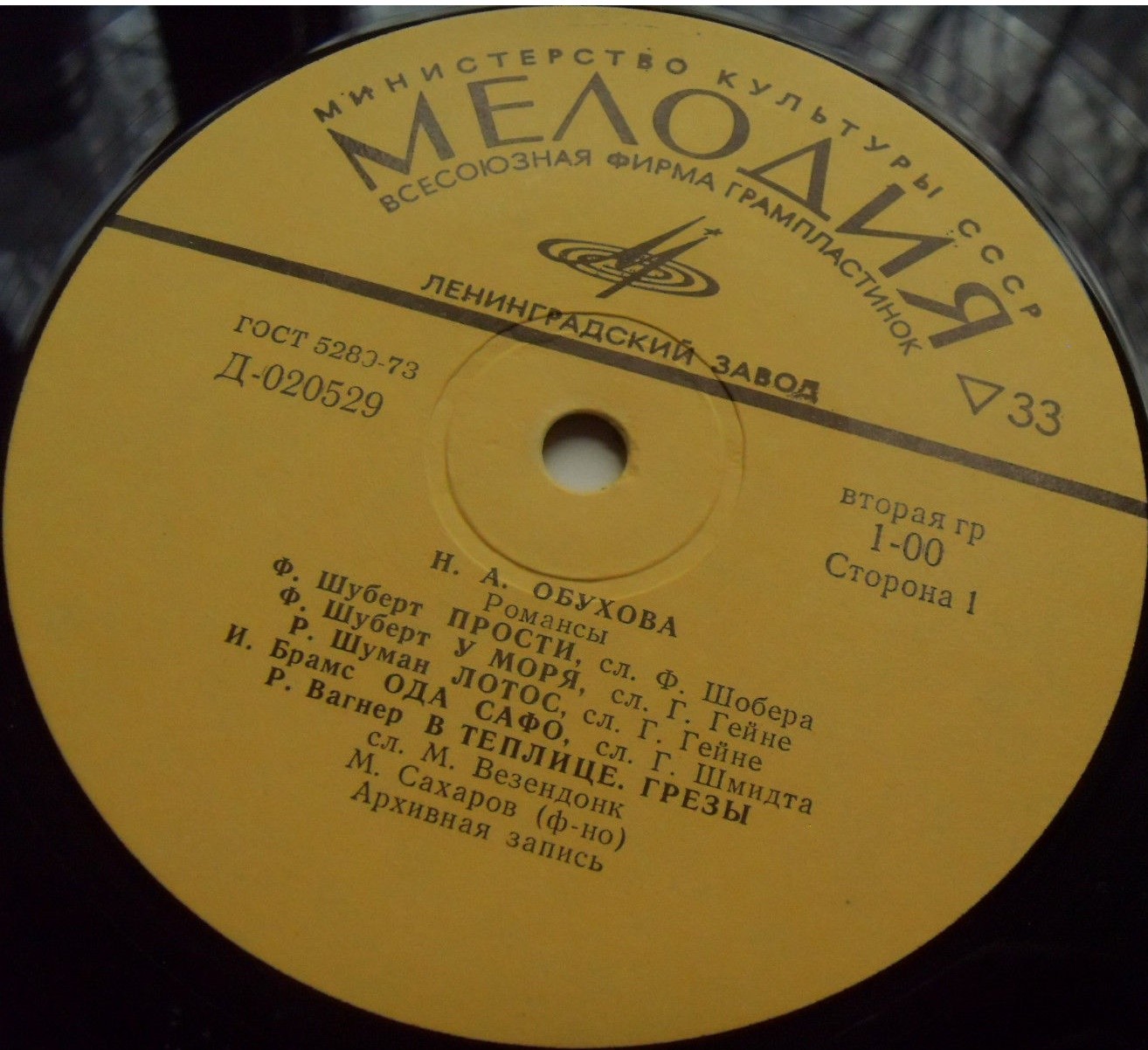 Поет Н. А. Обухова