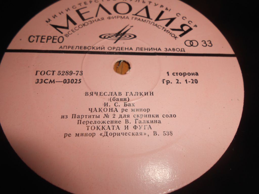 Вячеслав Галкин (баян)