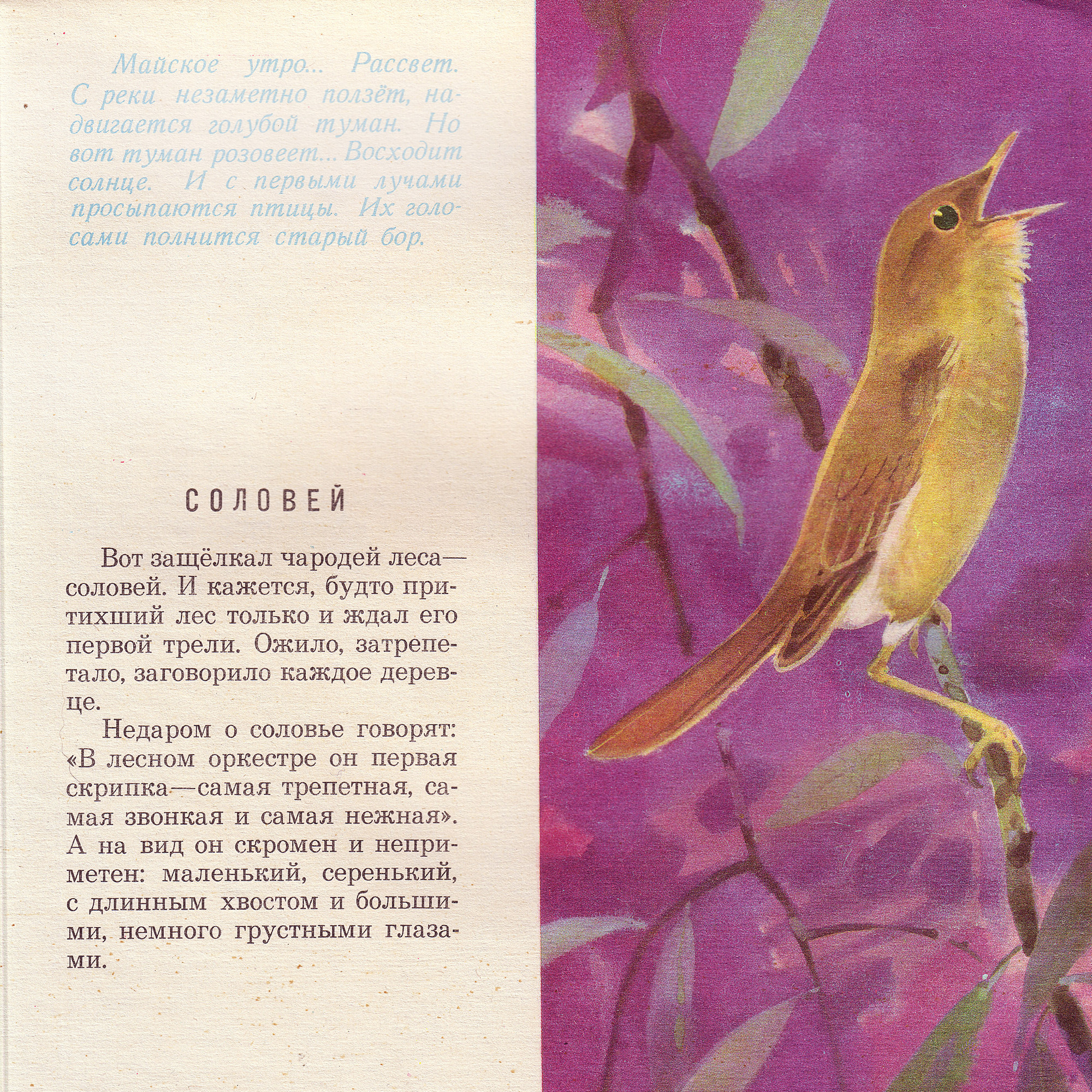 Приложение к книге Александра Баркова «Голоса весеннего леса»