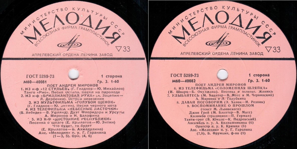 Поет Андрей Миронов