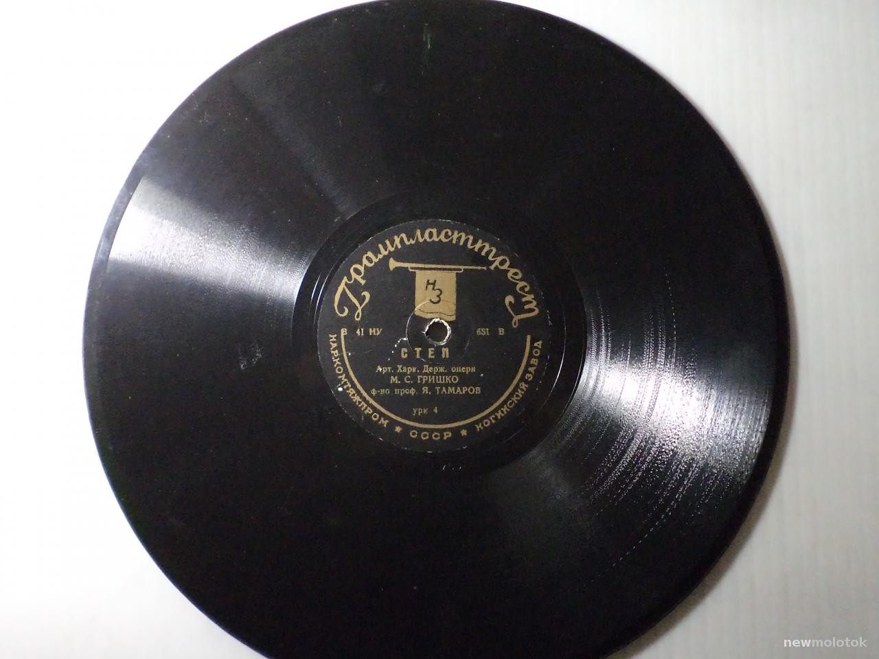 М. С. Гришко - Степ / Минають днi