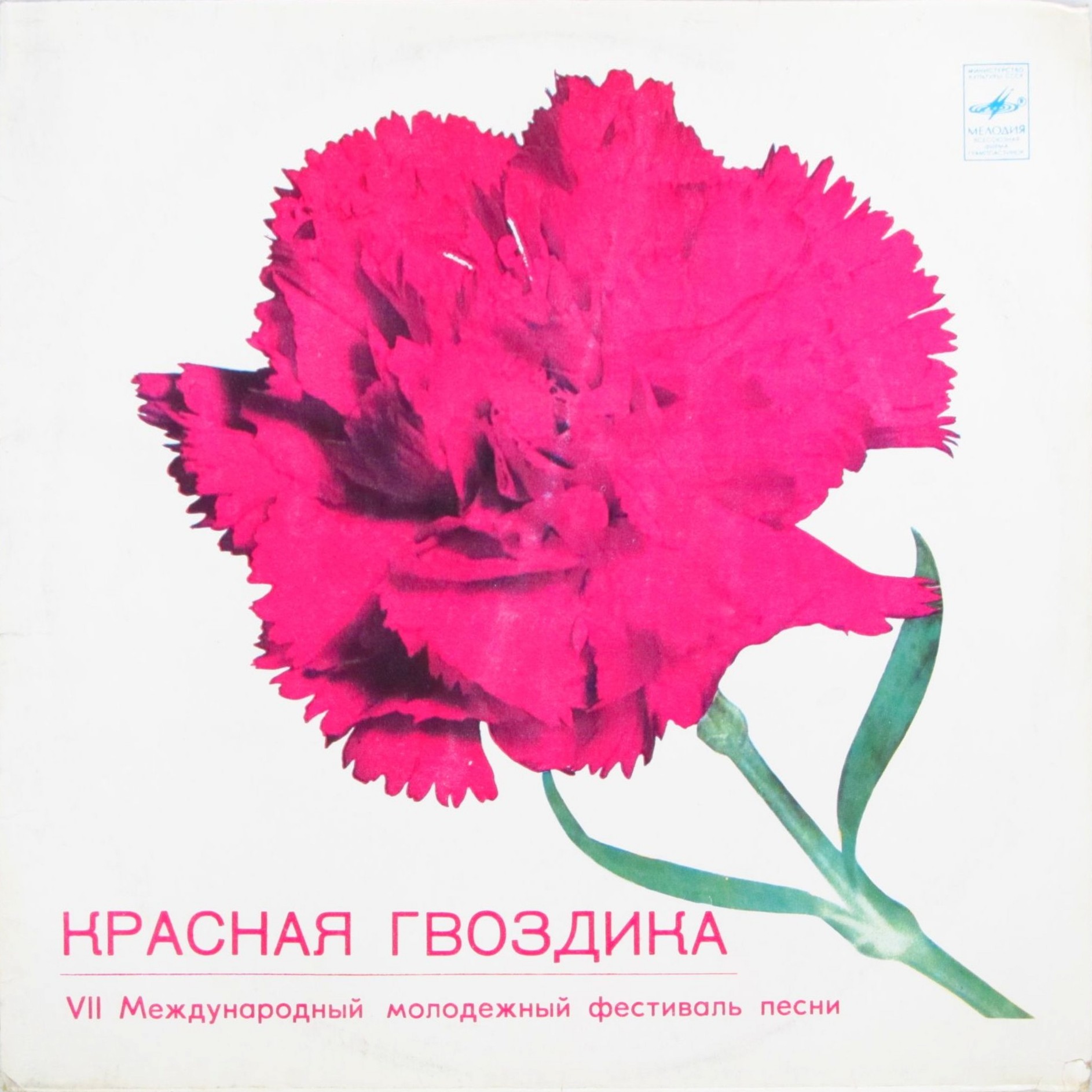 «КРАСНАЯ ГВОЗДИКА-81» (VII Международный молодежный фестиваль песни).