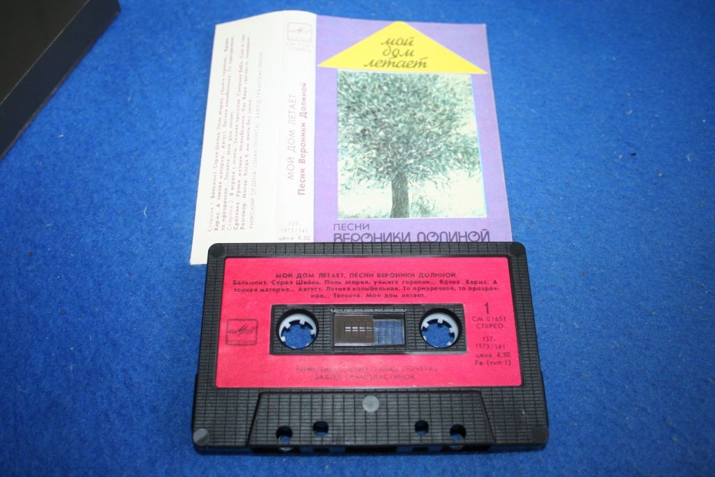 «Мой дом летает». Песни Вероники ДОЛИНОЙ.