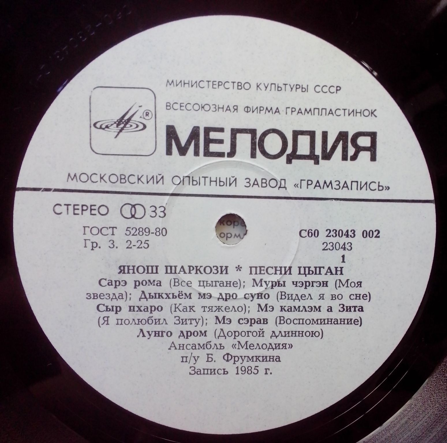 Янош ШАРКОЗИ. Песни цыган