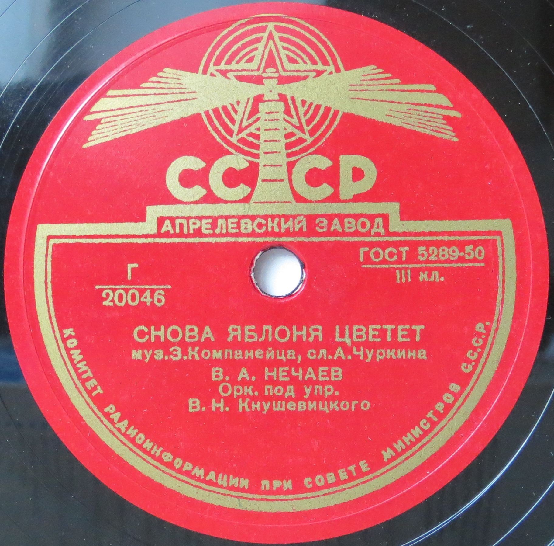 Белокрылые чайки / Снова яблоня цветёт