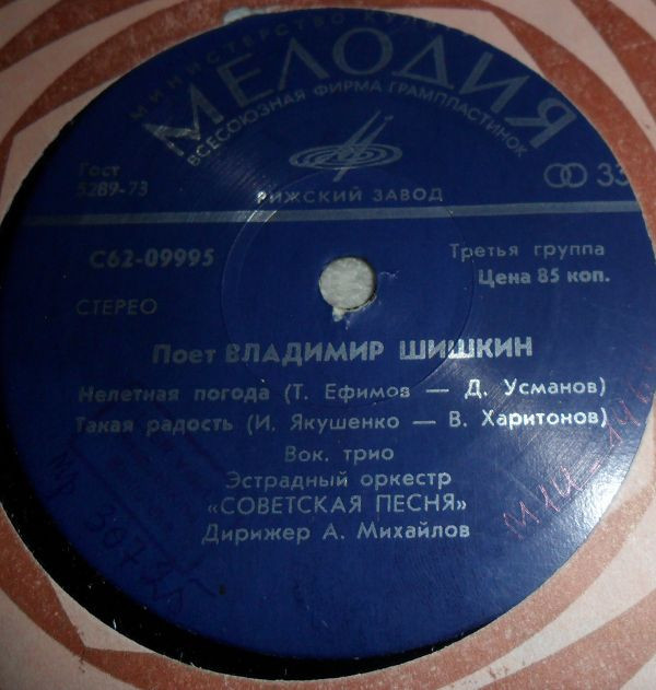 Поет Владимир ШИШКИН